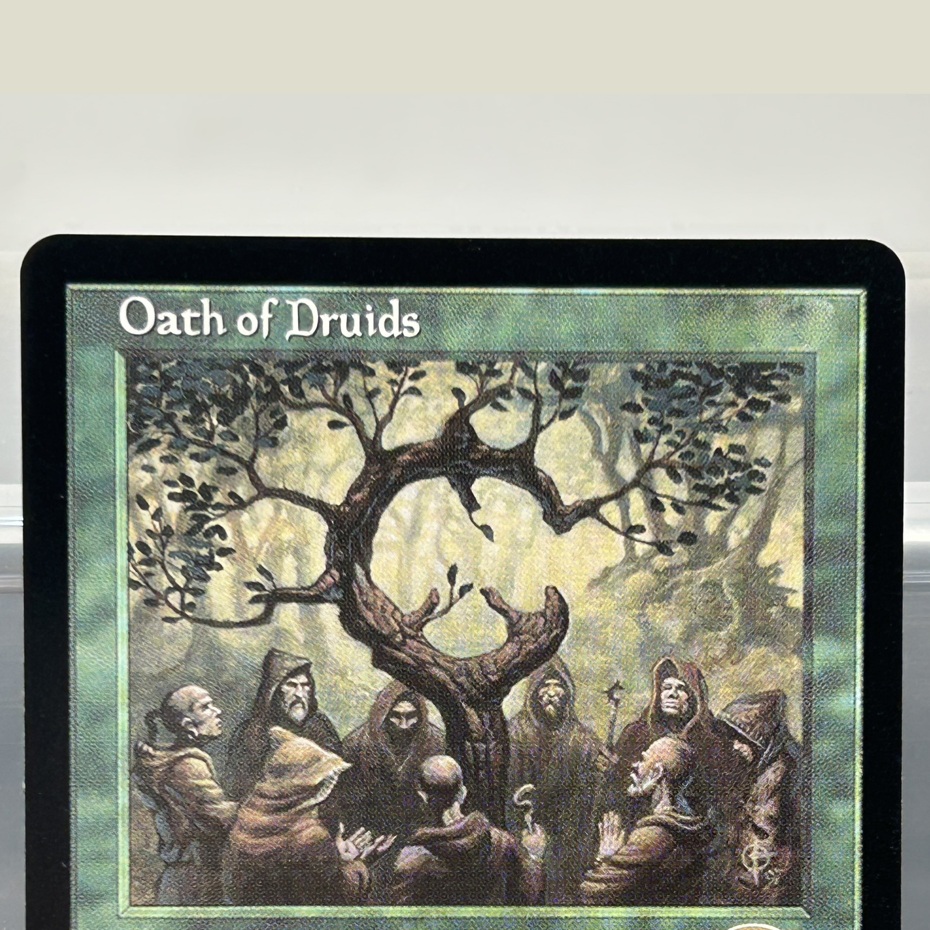 City of Traitors Oath of Druid - Board Game Oath ulasan dan harga
